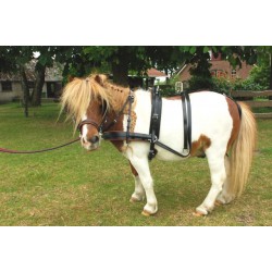 Easy go pair harness Shetland