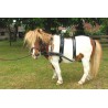 Easy go pair harness Shetland