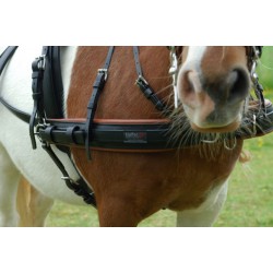 Easy go pair harness Shetland