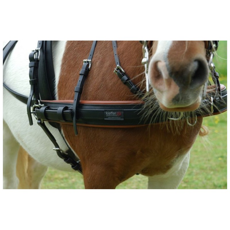 Easy go pair harness Shetland