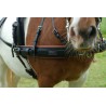 Easy go pair harness Shetland