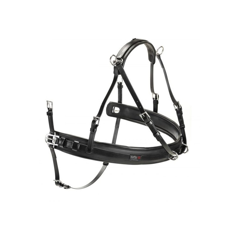 Easy go pair harness with removable traces