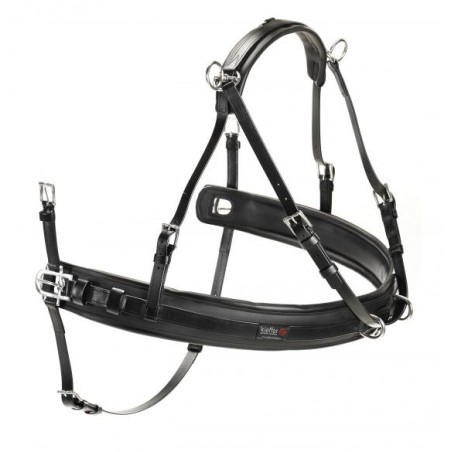 Easy go pair harness with removable traces