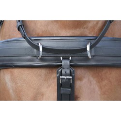 Easy go LD combination harness for pair 32 mm