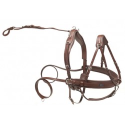 Kieffer leather pair harness