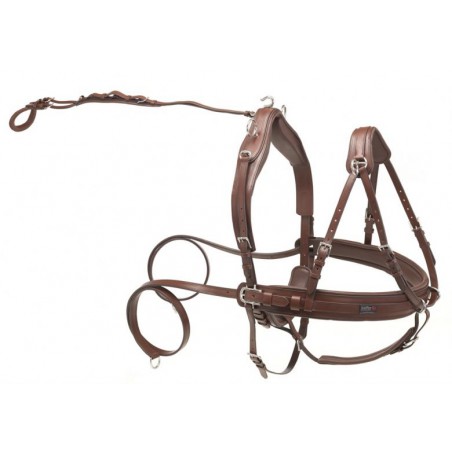 Kieffer leather pair harness