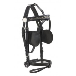 Kieffer leather pair harness