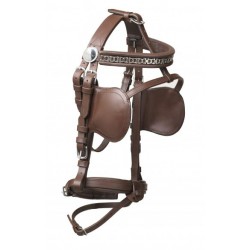 Kieffer leather Bridle Shetlander